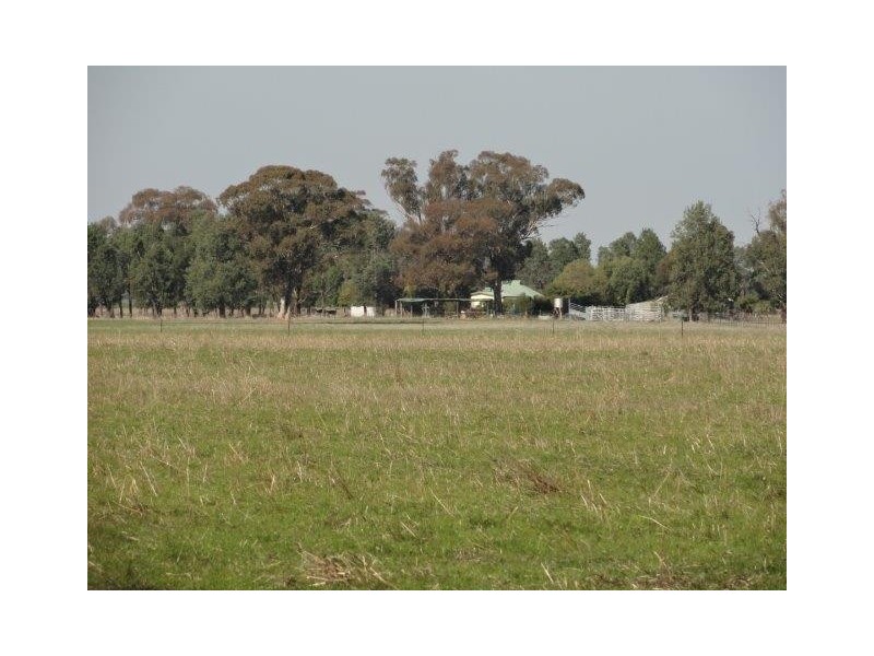 1009 Howlong-Balldale Road, Balldale NSW 2646