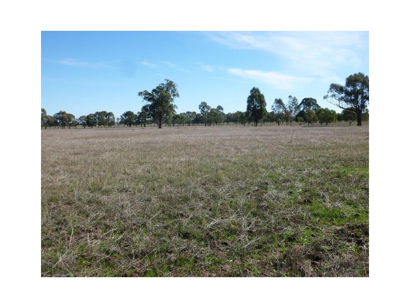 1009 Howlong-Balldale Road, Balldale NSW 2646