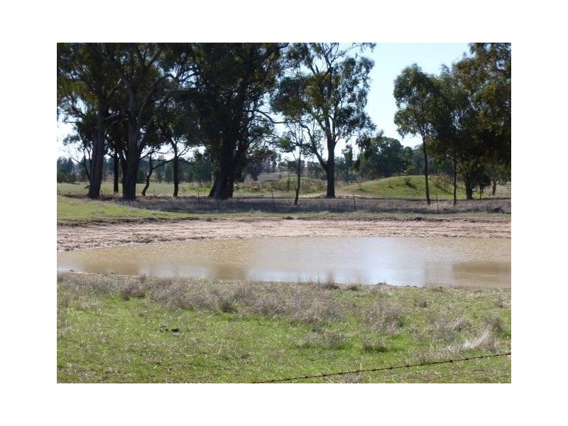 1009 Howlong-Balldale Road, Balldale NSW 2646