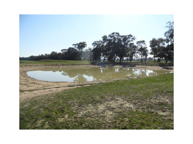 1009 Howlong-Balldale Road, Balldale NSW 2646