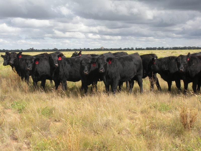 ”Raheen” Raheen Road, Hay NSW 2711