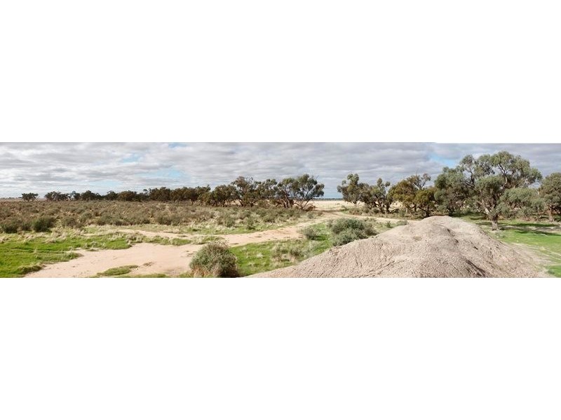 ”Raheen” Raheen Road, Hay NSW 2711