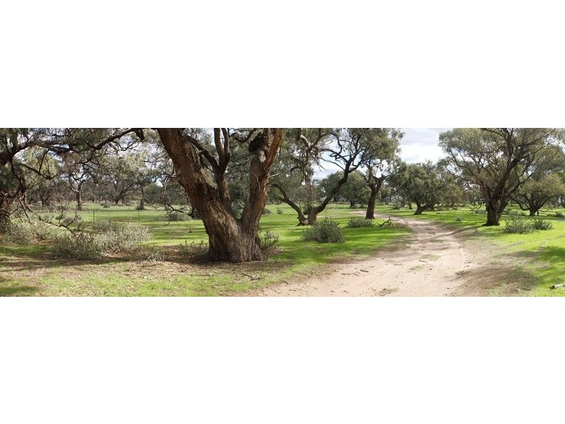 ”Raheen” Raheen Road, Hay NSW 2711