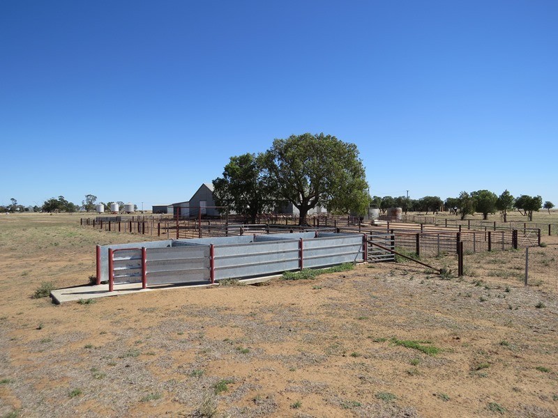 ”Raheen” Raheen Road, Hay NSW 2711