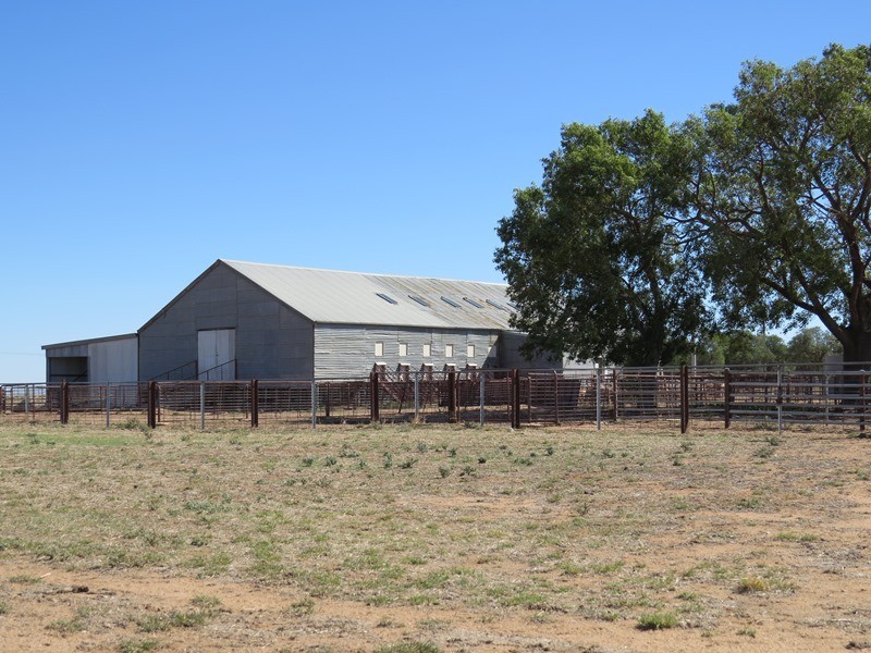 ”Raheen” Raheen Road, Hay NSW 2711