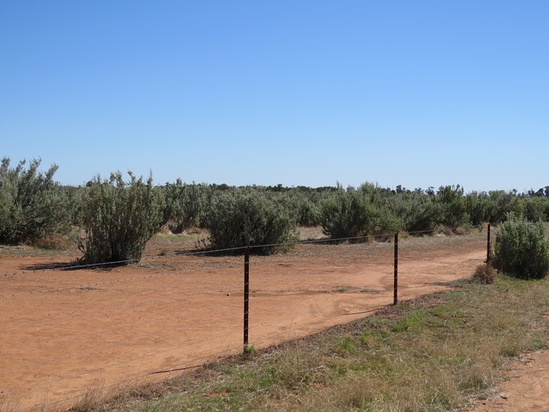 ”Raheen” Raheen Road, Hay NSW 2711