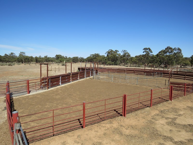 ”Raheen” Raheen Road, Hay NSW 2711