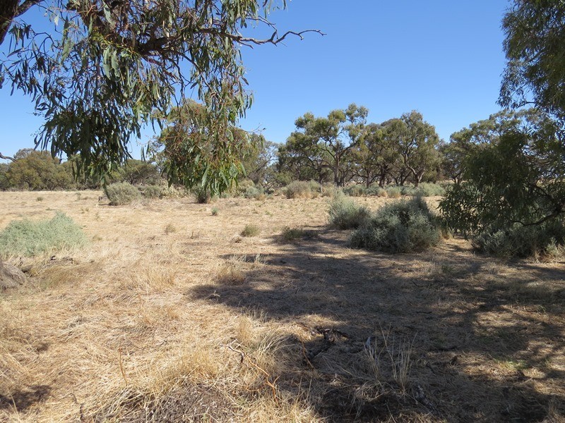 ”Raheen” Raheen Road, Hay NSW 2711