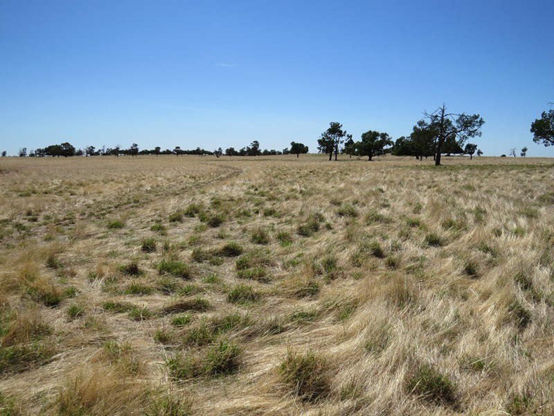 ”Raheen” Raheen Road, Hay NSW 2711