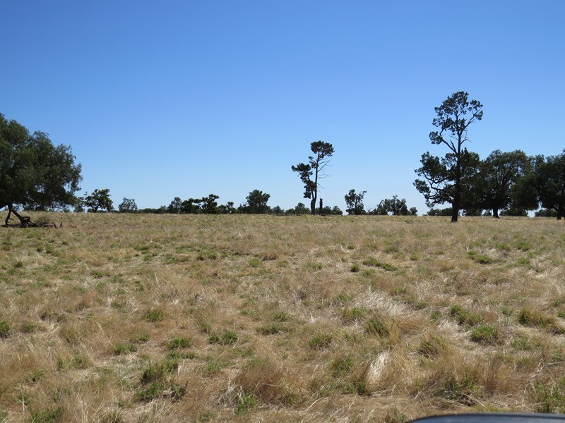 ”Raheen” Raheen Road, Hay NSW 2711