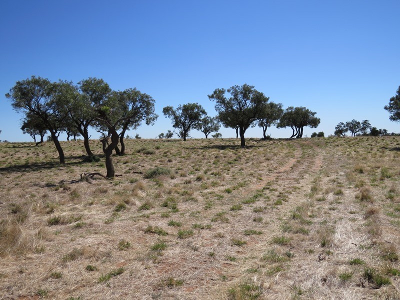 ”Raheen” Raheen Road, Hay NSW 2711