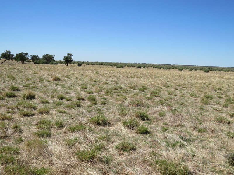 ”Raheen” Raheen Road, Hay NSW 2711