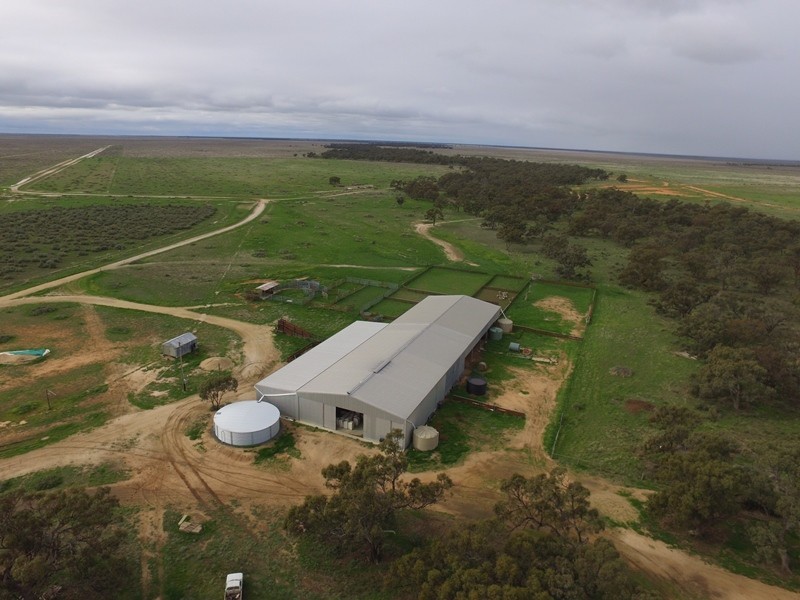 “Nyangay” Cobb Highway, Booroorban NSW 2710