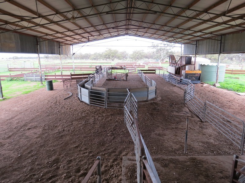 “Nyangay” Cobb Highway, Booroorban NSW 2710
