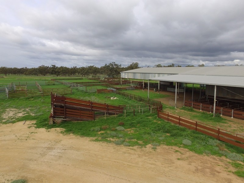 “Nyangay” Cobb Highway, Booroorban NSW 2710