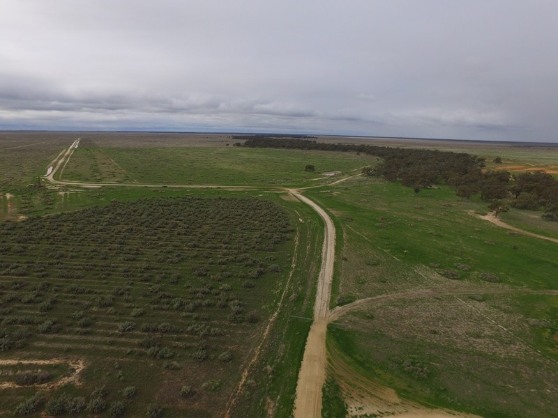 “Nyangay” Cobb Highway, Booroorban NSW 2710
