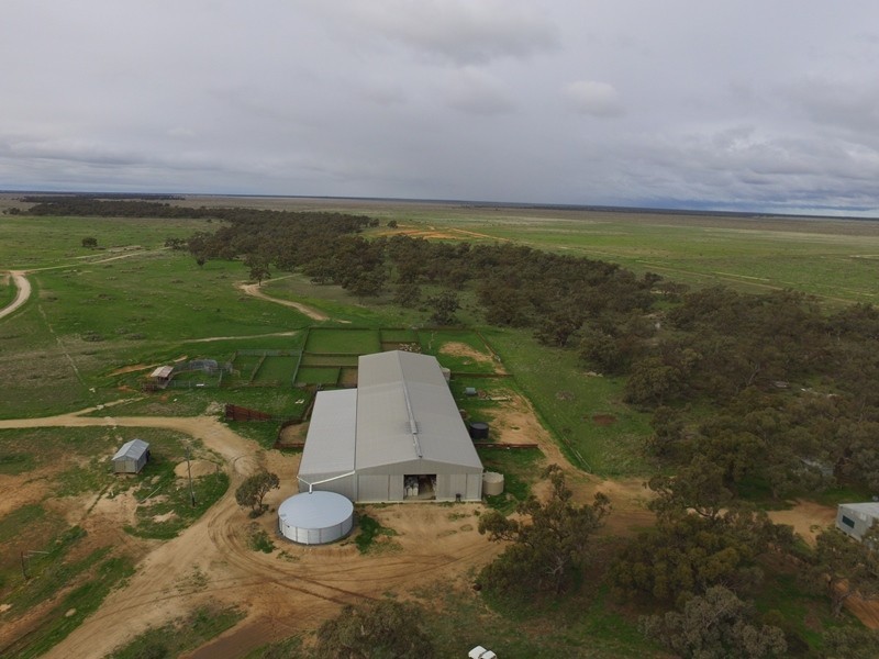 “Nyangay” Cobb Highway, Booroorban NSW 2710