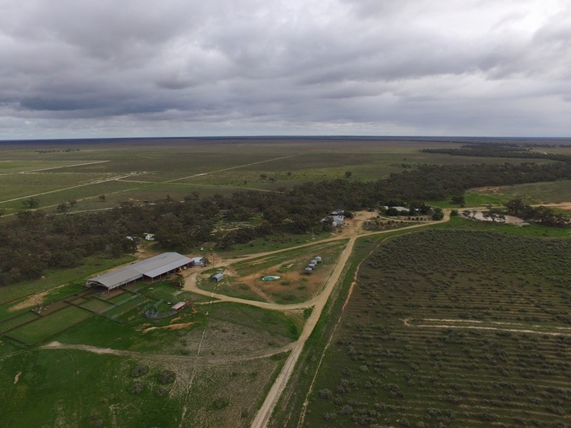 “Nyangay” Cobb Highway, Booroorban NSW 2710