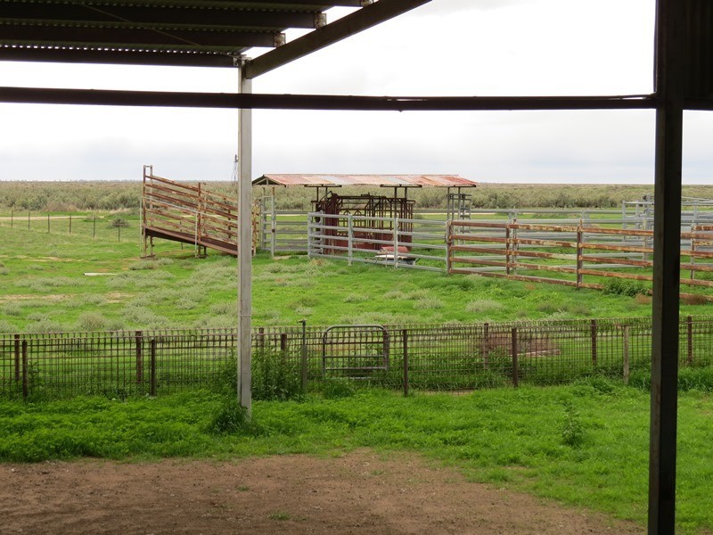 “Nyangay” Cobb Highway, Booroorban NSW 2710