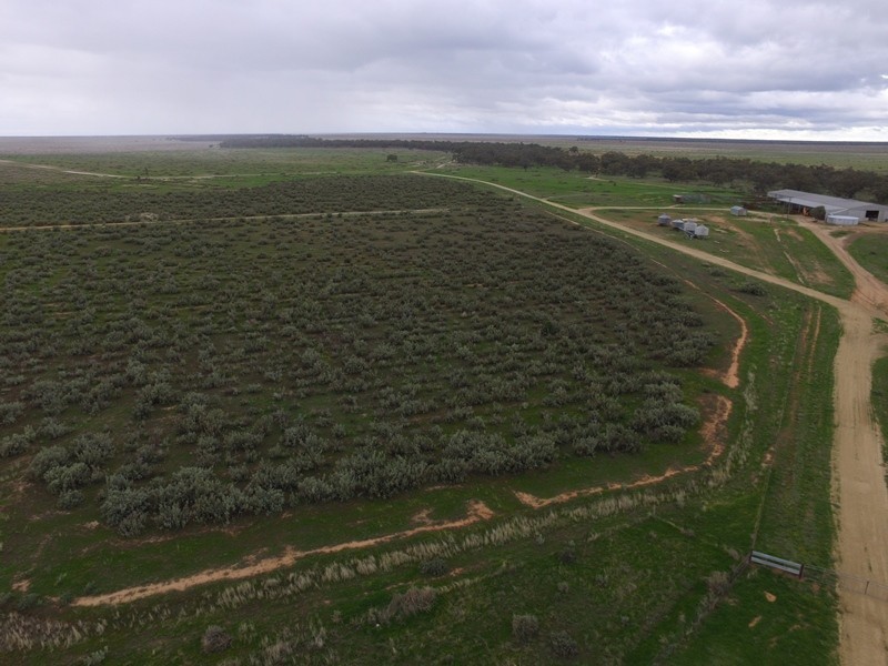 “Nyangay” Cobb Highway, Booroorban NSW 2710
