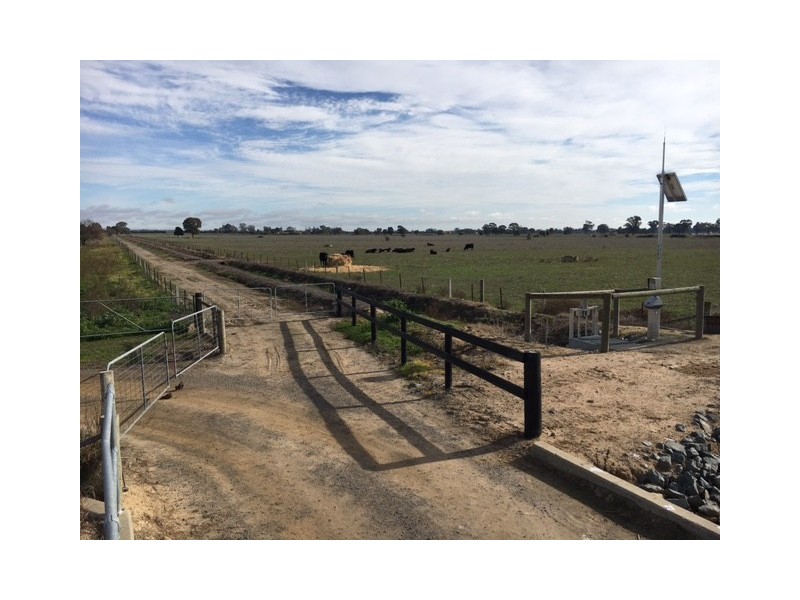 117 Zeerust School Road, Zeerust VIC 3634