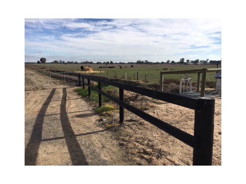 117 Zeerust School Road, Zeerust VIC 3634