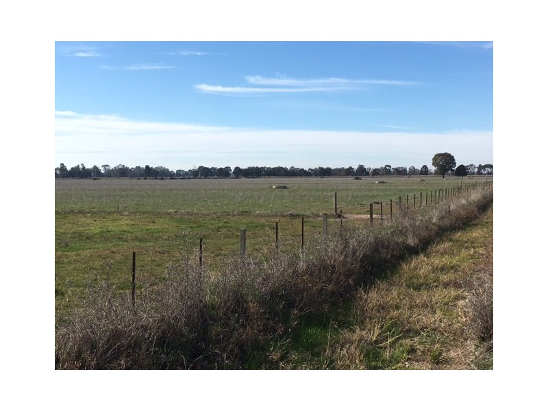 117 Zeerust School Road, Zeerust VIC 3634