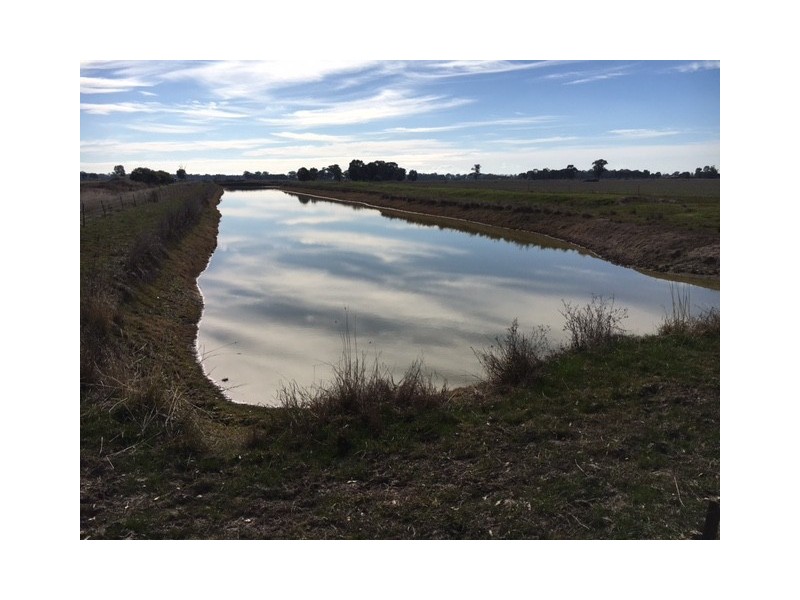 117 Zeerust School Road, Zeerust VIC 3634