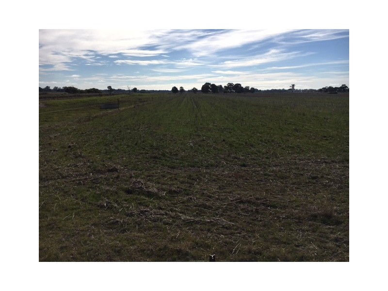 117 Zeerust School Road, Zeerust VIC 3634