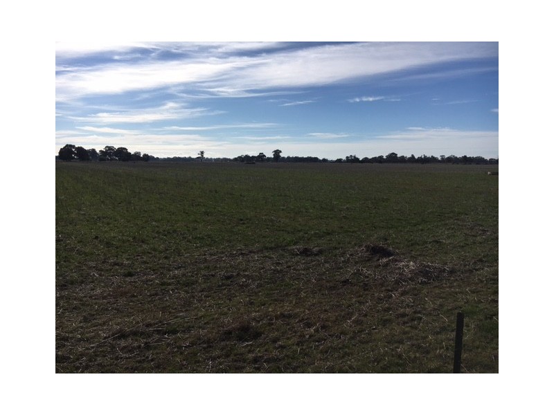 117 Zeerust School Road, Zeerust VIC 3634