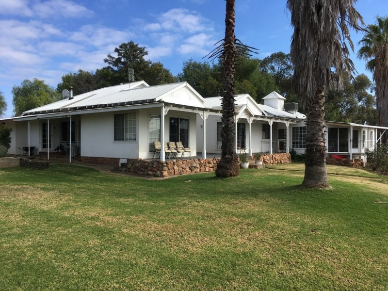 2836 SCENIC ROAD, Young NSW 2594