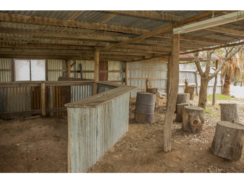 2836 SCENIC ROAD, Young NSW 2594