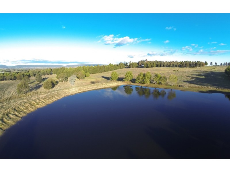 2836 SCENIC ROAD, Young NSW 2594