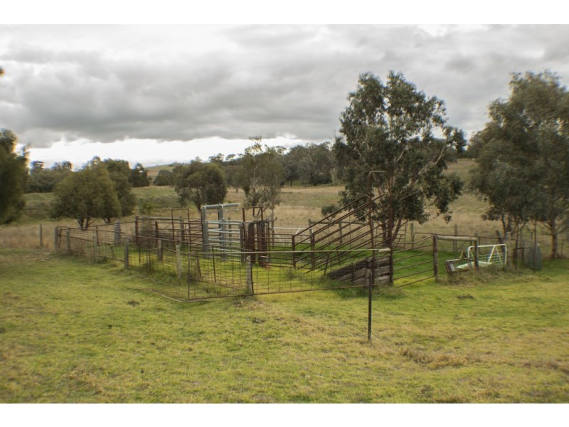 2836 SCENIC ROAD, Young NSW 2594