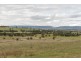 2836 SCENIC ROAD, Young NSW 2594