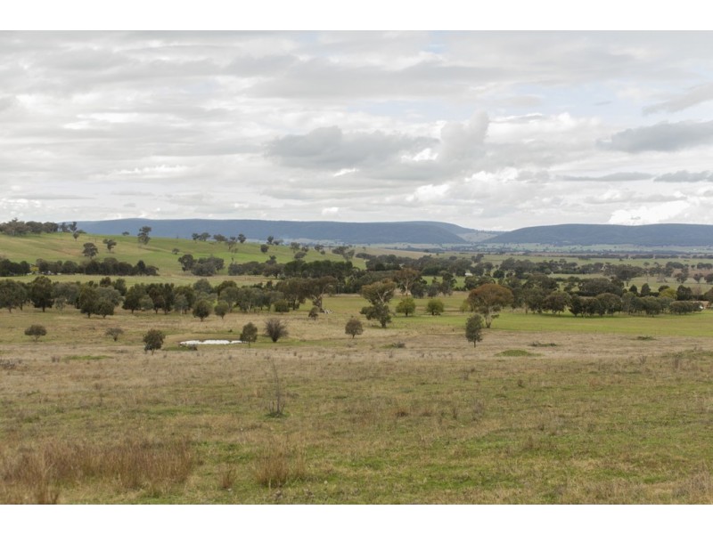 2836 SCENIC ROAD, Young NSW 2594