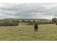 2836 SCENIC ROAD, Young NSW 2594