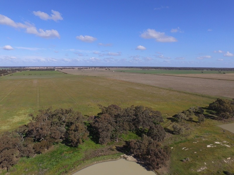 221 Aratula North Road, Deniliquin NSW 2710