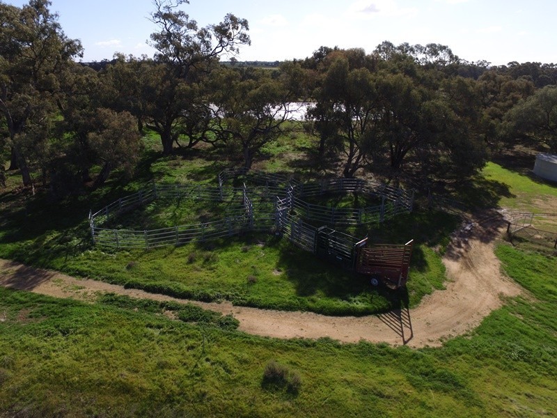 221 Aratula North Road, Deniliquin NSW 2710