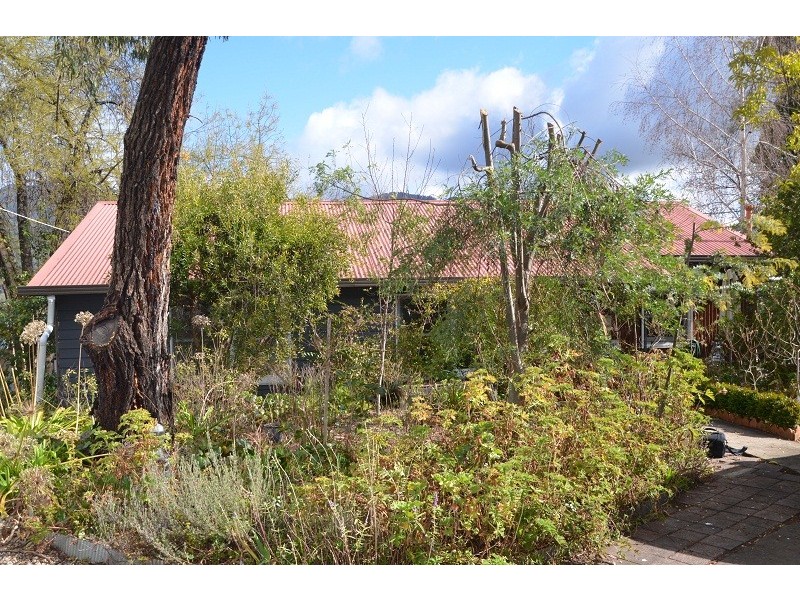 31 Bogong Avenue, Mount Beauty VIC 3699