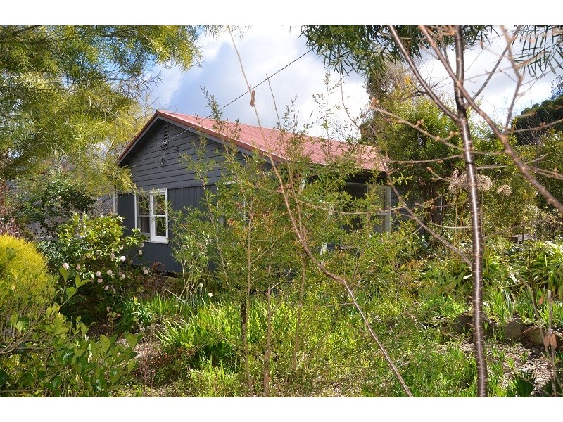 31 Bogong Avenue, Mount Beauty VIC 3699