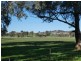 1375 Mates Gully Road Borambola via, Wagga Wagga NSW 2650