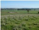 1375 Mates Gully Road Borambola via, Wagga Wagga NSW 2650