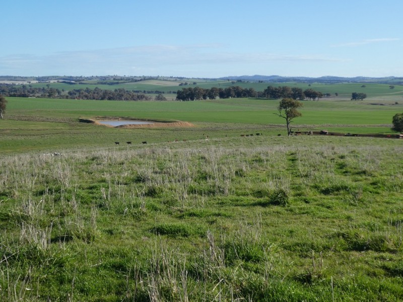 1375 Mates Gully Road Borambola via, Wagga Wagga NSW 2650