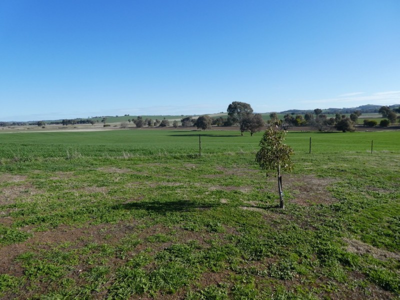 1375 Mates Gully Road Borambola via, Wagga Wagga NSW 2650
