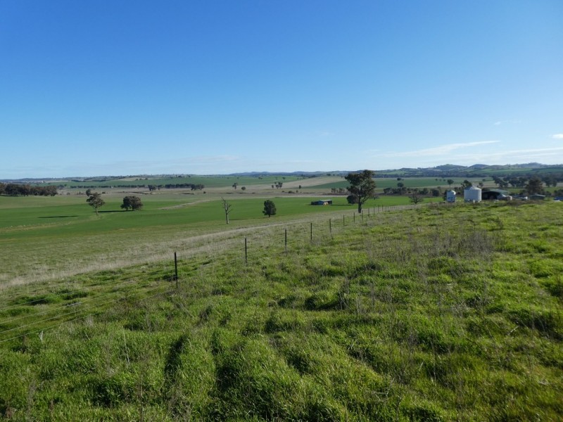 1375 Mates Gully Road Borambola via, Wagga Wagga NSW 2650