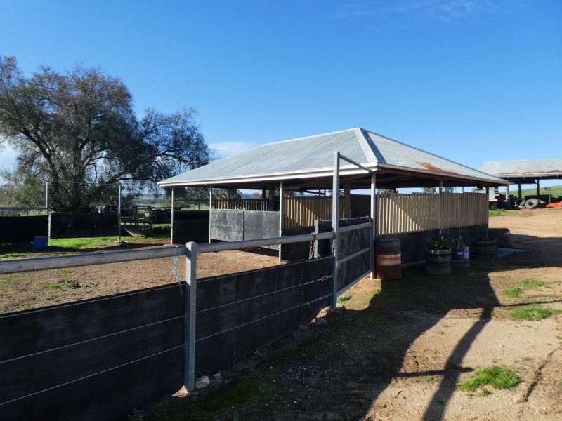 1375 Mates Gully Road Borambola via, Wagga Wagga NSW 2650