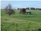 1375 Mates Gully Road Borambola via, Wagga Wagga NSW 2650