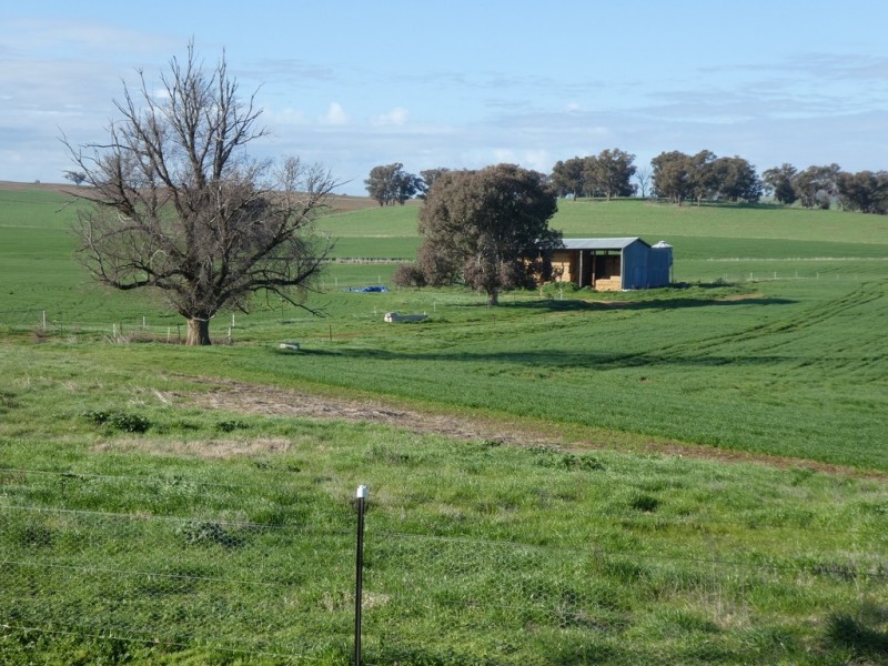 1375 Mates Gully Road Borambola via, Wagga Wagga NSW 2650