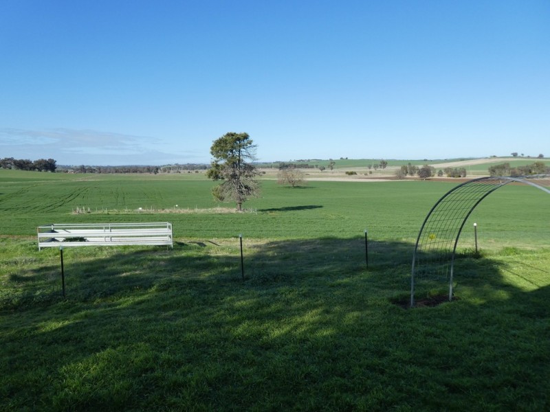 1375 Mates Gully Road Borambola via, Wagga Wagga NSW 2650